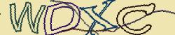 Retype the CAPTCHA code from the image